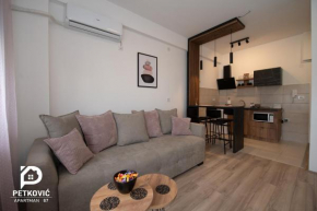 Petković apartmani 87